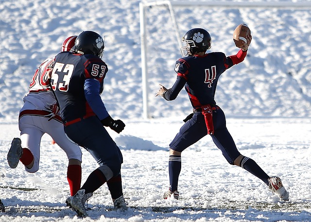 领域崭露头 领域崭露头