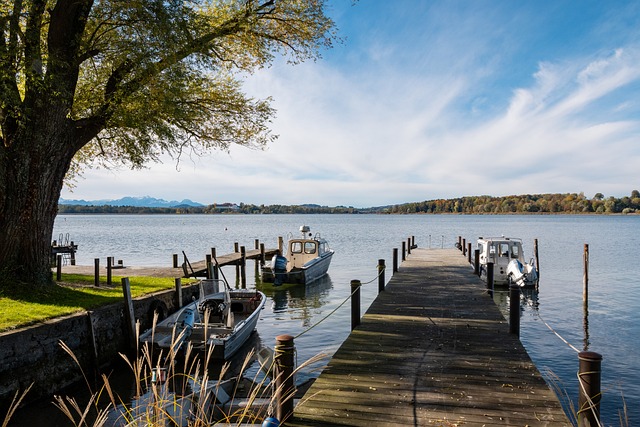 也能反映出 也能反映出