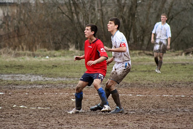 新鲜的创新 新鲜的创新